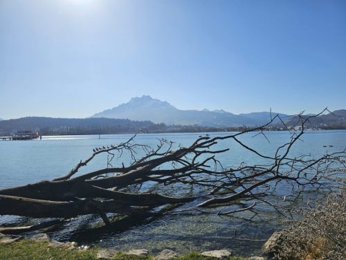 WhatsApp-Image-2026-03-08-at-18.00.12